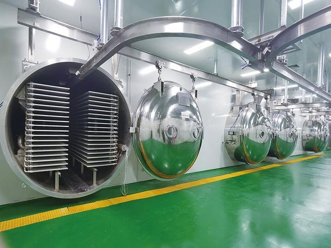 FD-25生产型大健康冻干机