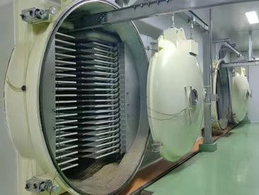 FD-300生产型食品冻干机